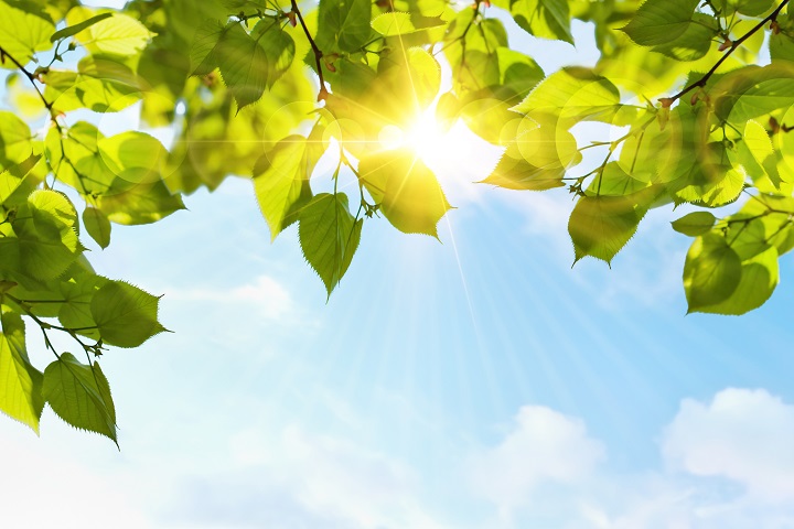 夏天缺水危害大 這麼喝補水又健康